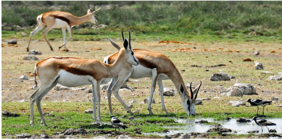 Visit Serengeti National Park