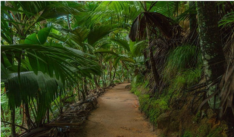 Mahé: Departure from Mahé