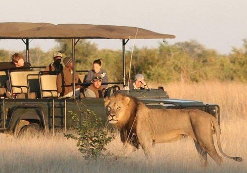 Hwange National Park Game Drives