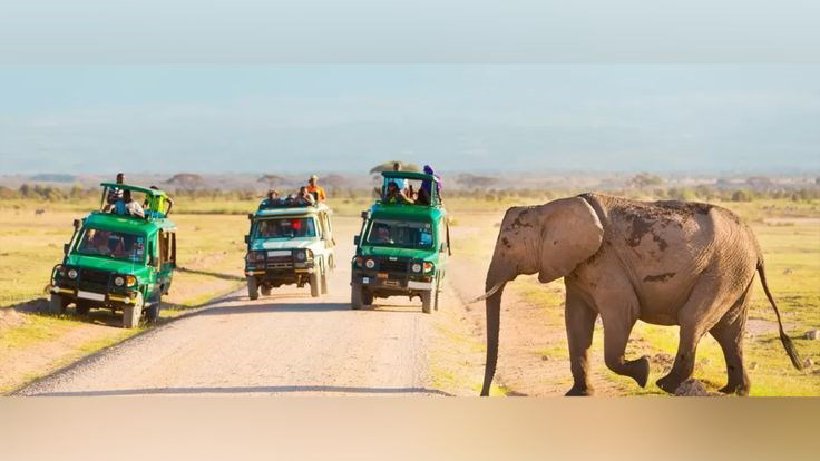 Full-day Game Drive in Amboseli National Park