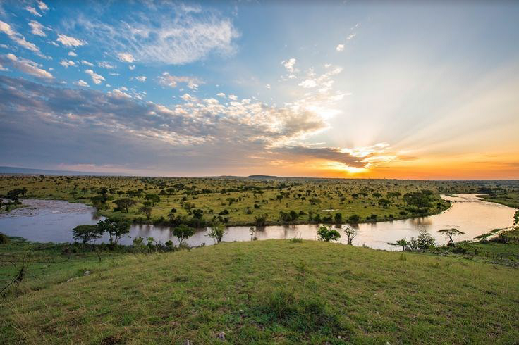 Check-Out & Transfer to Nairobi