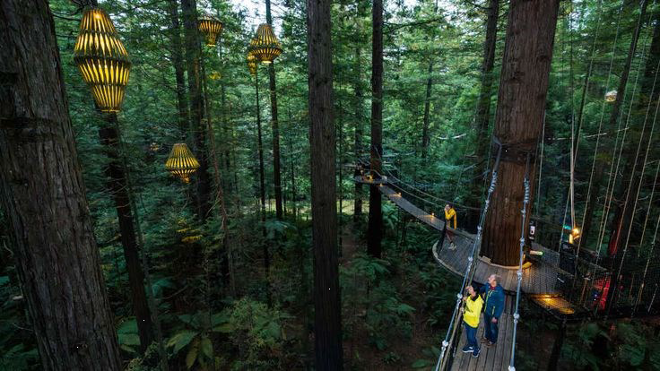 Rotorua Sightseeing Tour