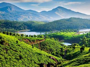 Munnar